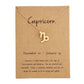 stainless steel zodiac sign necklace